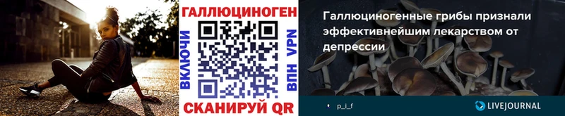 Псилоцибиновые грибы Psilocybine cubensis Купить Канаш